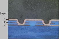 圖片3.png 圖片3.png